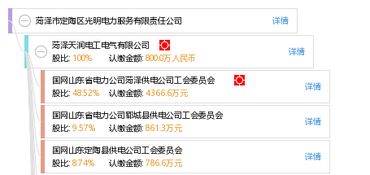 菏澤市定陶區光明電力服務有限責任公司信息概覽