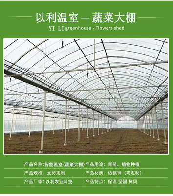 以利農(nóng)業(yè) 專業(yè)化設計與一站式服務，打造高效智能的花卉養(yǎng)殖大棚與連棟玻璃溫室