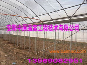 中原地區(qū)養(yǎng)殖大棚骨架與鋼架大棚骨架 廠(chǎng)家、價(jià)格與農(nóng)業(yè)溫室應(yīng)用