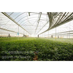 智慧農(nóng)業(yè)之選 卓振智能，大棚種植的領(lǐng)先解決方案